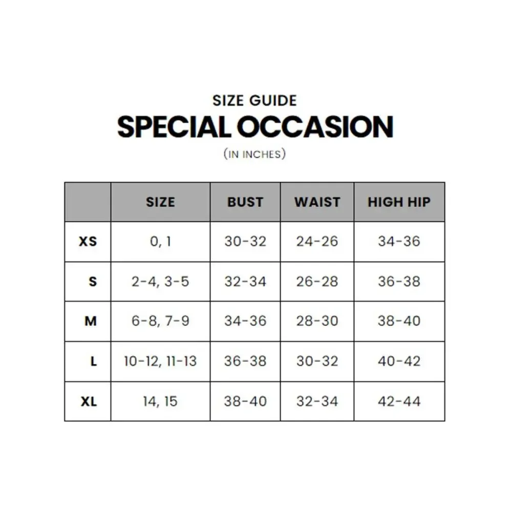 Elegant Silver Evening Gown - Picture 13 of 13